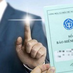 TP. Hồ Chí Minh cưỡng chế tài khoản 44 DN chậm đóng BHXH cho NLĐ