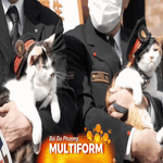 Gặp gỡ các trưởng ga mèo ở Nhật Bản