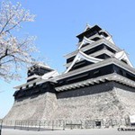 Mùa Xuân gõ cửa: Ngắm hoa anh đào khoe sắc tại Kyushu Nhật Bản