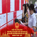 TP. Hồ Chí Minh: Hoàn tất các phương án, đảm bảo quyền lợi cho cử tri bầu cử sớm