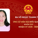 Tóm tắt tiểu sử bà Võ Ngọc Thanh Trúc ứng cử Đại biểu Quốc hội Khóa XVI