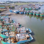 Siết chặt chống khai thác IUU tại TP. Hồ Chí Minh trước đợt kiểm tra của Ủy ban châu Âu