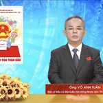 Chương trình hành động Ứng cử viên Đại biểu Hội đồng nhân dân TP. Hồ Chí Minh Khóa XI Võ Anh Tuấn