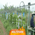 Xuất khẩu nông lâm sản đặt nhiều kỳ vọng tăng trưởng trong năm mới