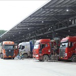 Thủ tướng chỉ đạo tháo gỡ vướng mắc trong triển khai Nghị định về an toàn thực phẩm