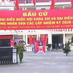 Phiên họp thứ 8 Ủy ban Bầu cử đại biểu Quốc hội khóa XVI và đại biểu HĐND Thành phố