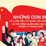 Tỷ lệ cử tri đi bỏ phiếu trên địa bàn TP. Hồ Chí Minh đạt 99%