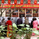 Cử tri phường Hoàn Kiếm tham gia bỏ phiếu từ sáng sớm