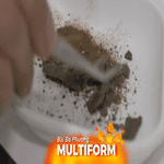 Phát hiện khảo cổ: Người La Mã cổ đại sử dụng phân ngựa làm dược liệu