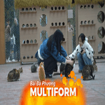 Công viên dành riêng cho mèo ở Trùng Khánh, Trung Quốc