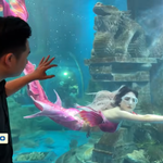 Người chung quanh ta - Tập 20: Chuyện "nàng tiên cá" Ngọc Ánh