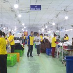 Doanh nghiệp chủ động tiết kiệm nhiên liệu, thích ứng biến động chi phí vận hành