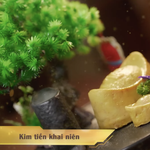 Quán ăn hạnh phúc: "Thỏi vàng" trong thực đơn chay đặc biệt