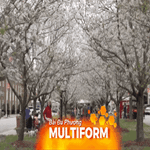 Lễ hội hoa anh đào lớn nhất nước Mỹ ở bang Georgia