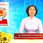 Chương trình hành động Ứng cử viên Đại biểu Hội đồng nhân dân TP. Hồ Chí Minh Khóa XI Huỳnh Ngọc Nữ Phương Hồng