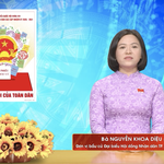 Chương trình hành động Ứng cử viên Đại biểu Hội đồng nhân dân TP. Hồ Chí Minh Khóa XI Nguyễn Khoa Diệu An