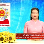Chương trình hành động Ứng cử viên Đại biểu Hội đồng nhân dân TP. Hồ Chí Minh Khóa XI Nguyễn Thị Ngọc Linh