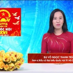 Chương trình hành động Ứng cử viên Đại biểu Quốc hội Khóa XVI Võ Ngọc Thanh Trúc