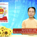 Chương trình hành động Ứng cử viên Đại biểu Hội đồng nhân dân TP. Hồ Chí Minh Khóa XI Lê Thị Trúc Lâm