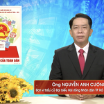 Chương trình hành động Ứng cử viên Đại biểu Hội đồng nhân dân TP. Hồ Chí Minh Khóa XI Nguyễn Anh Cường