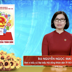 Chương trình hành động Ứng cử viên Đại biểu Hội đồng nhân dân TP. Hồ Chí Minh Khóa XI Nguyễn Ngọc Mai