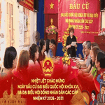 TP. Hồ Chí Minh tập trung cao độ cho công tác chuẩn bị bầu cử tại cơ sở