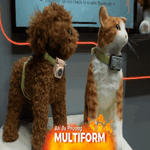 PetPhone - Điện thoại kết nối "sen" và thú cưng