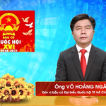 Chương trình hành động Ứng cử viên Đại biểu Quốc hội Khóa XVI Võ Hoàng Ngân