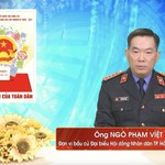 Chương trình hành động Ứng cử viên Đại biểu Hội đồng nhân dân TP. Hồ Chí Minh Khóa XI Ngô Phạm Việt