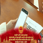 Lá phiếu của sự bình đẳng