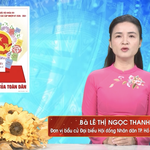 Chương trình hành động Ứng cử viên Đại biểu Hội đồng nhân dân TP. Hồ Chí Minh Khóa XI Lê Thị Ngọc Thanh