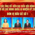 Thông tin các ứng cử viên Đại biểu Hội đồng nhân dân TP. Hồ Chí Minh Khóa XI - Đơn vị bầu cử số 1
