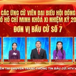 Thông tin các ứng cử viên Đại biểu Hội đồng nhân dân TP. Hồ Chí Minh Khóa XI - Đơn vị bầu cử số 7