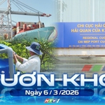 Vươn khơi - Ngày 6/3/2026 | Hiệu quả ứng dụng hệ thống tưới nước tiết kiệm trên cây trồng