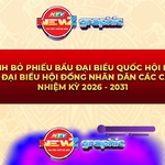 NewZgraphic: Quy trình bỏ phiếu bầu cử