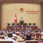 Đại biểu Quốc hội tán thành việc giảm thuế đối với xăng, dầu và nhiên liệu bay