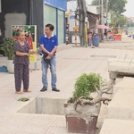 Nhiều hố trồng cây không che chắn trên đường Lý Tự Trọng, tiềm ẩn nguy cơ mất an toàn