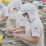 TP. Hồ Chí Minh siết chặt an toàn thực phẩm từ những mắt xích nhỏ nhất