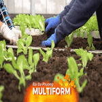 TP. Hồ Chí Minh thúc đẩy nông nghiệp công nghệ cao, thích ứng đô thị hóa và biến đổi khí hậu