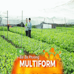 Nông dân TP. Hồ Chí Minh linh hoạt ứng phó để tiết kiệm chi phí trong sản xuất