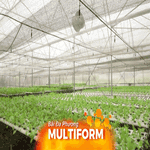 Giữ mảng xanh đô thị nhờ mô hình nông nghiệp ứng dụng công nghệ cao