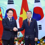 Thủ tướng Lê Minh Hưng hội kiến Tổng thống Hàn Quốc Lee Jae Myung