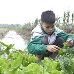 Mái ấm gia đình Việt: Chị em Minh Dương sớm tự lập vì mất cha, mẹ bệnh nặng