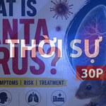 Thời sự 30P sáng (10/5/2026) Virus Hanta: Thế giới cảnh giác trước ổ dịch giữa đại dương