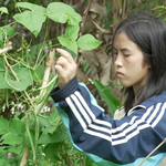 Hoài Thương chăm cha mắc ung thư phổi, nuôi ước mơ làm giáo viên