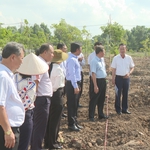 TP. Hồ Chí Minh sẽ trồng thêm 500 cây xanh tại xã Bình Lợi