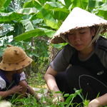 Mái ấm gia đình Việt: Đại Nghĩa nghẹn lòng trước cô bé không còn nhớ mặt mẹ