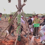 TP. Hồ Chí Minh trồng 503 cây xanh tại Công viên văn hóa Láng Le, lan tỏa phong trào “Thành phố muôn sắc hoa”