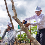 TP. Hồ Chí Minh: Trồng hơn 500 cây xanh tại công viên văn hóa Láng Le