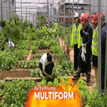 TP. Hồ Chí Minh đẩy mạnh xây dựng thiết chế cho người lao động